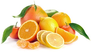 citrusovi